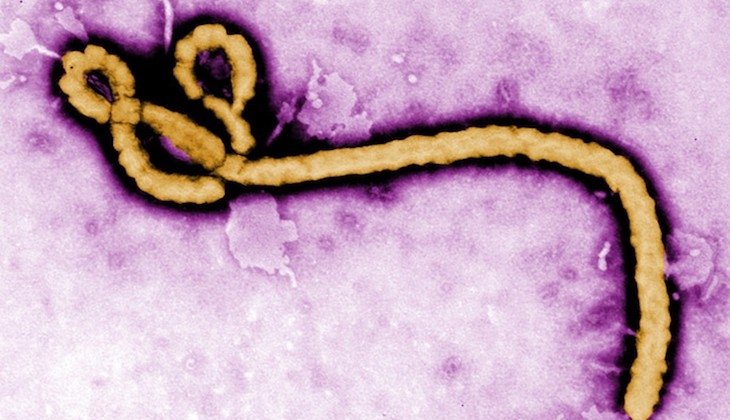 Cientistas quenianos garantem ter descoberto 2 vacinas contra o ebola